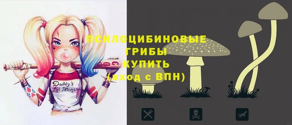 а пвп мука Белокуриха
