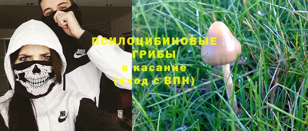 прущие крисы Балабаново