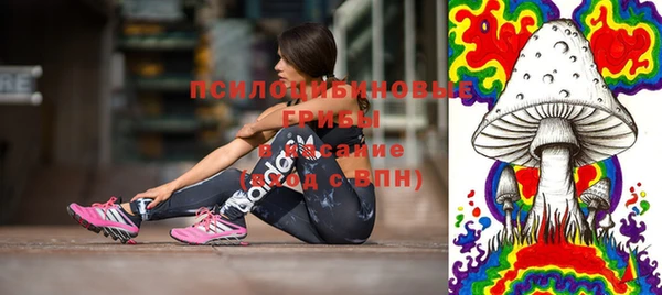 а пвп мука Белокуриха