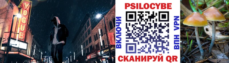 KRAKEN ссылки  Емва  Галлюциногенные грибы GOLDEN TEACHER 